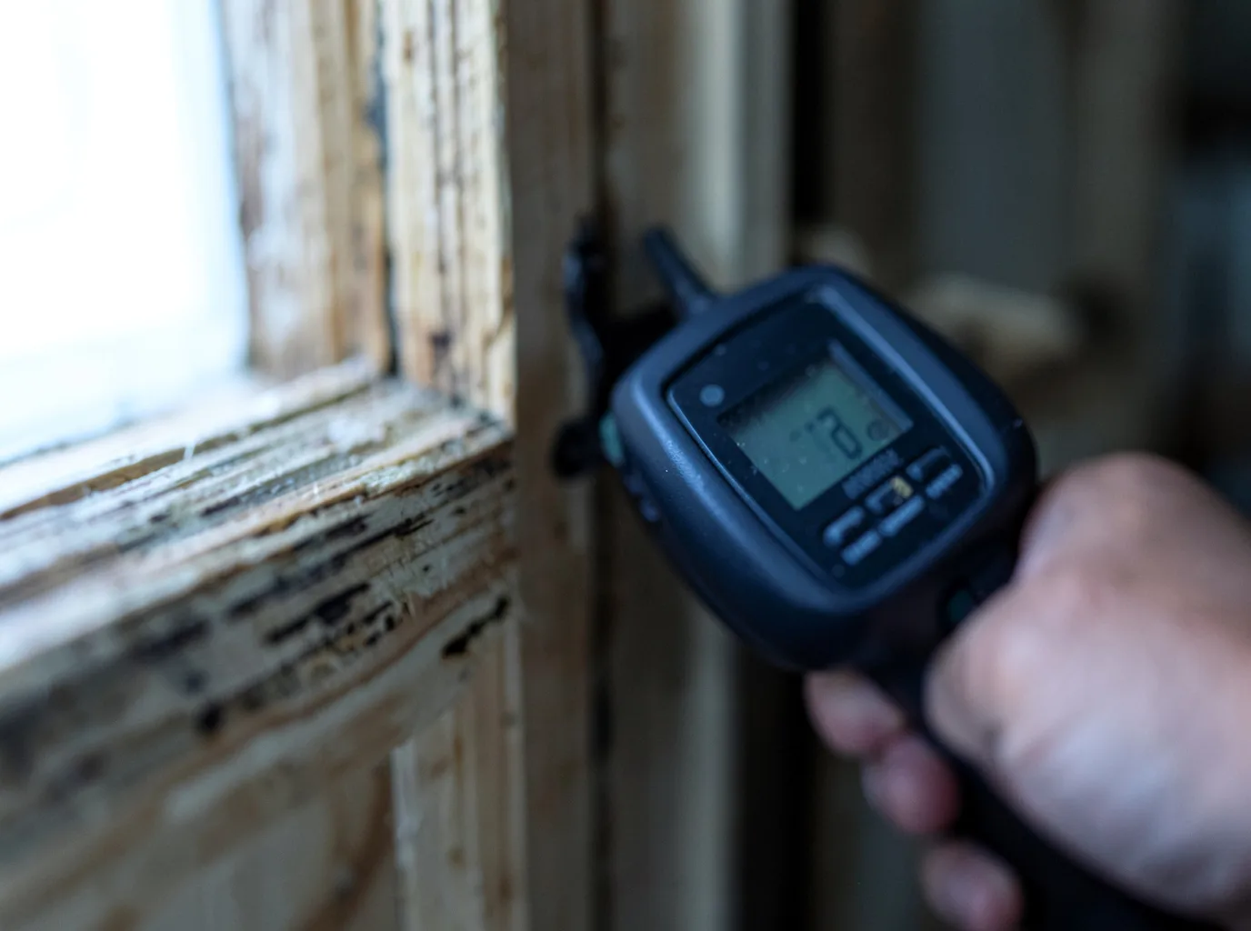 Moisture Inspection And Documentation in Clemons, NY